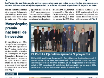 Boletín 31